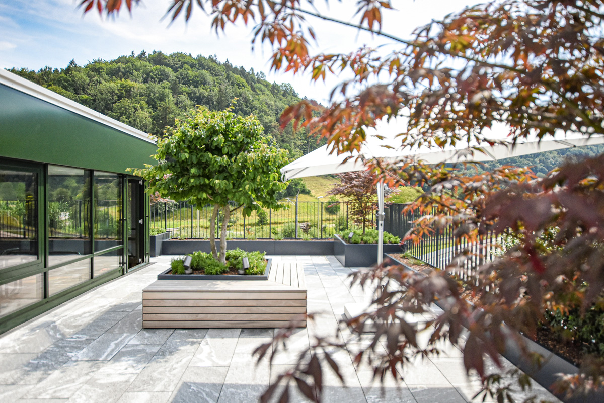 Ahorn, Eisenholzbaum und Sitzmöglichkeiten auf der modernen Firmenterrasse
